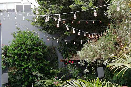 Linea de Luces Guirnaldas (04)