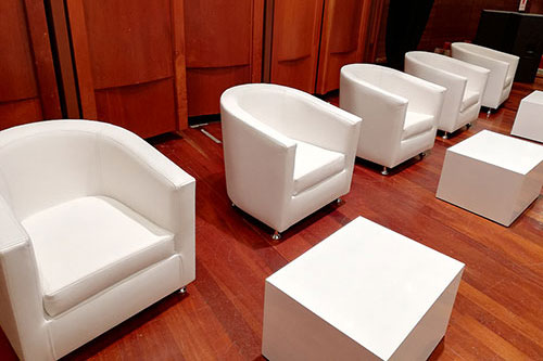 Sillones Individuales Corporativos (5)